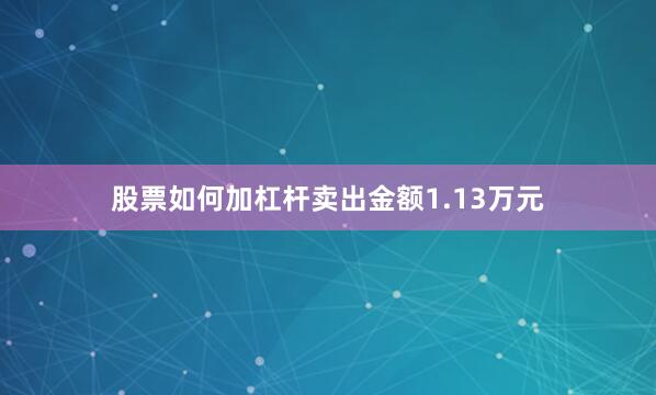 股票如何加杠杆卖出金额1.13万元